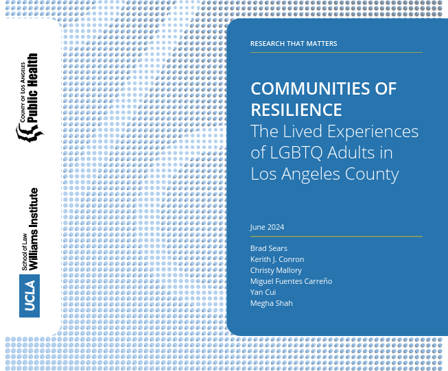 LGBTQ Lived Experience Report 2024