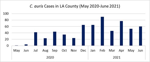 C. auris cases in LA County