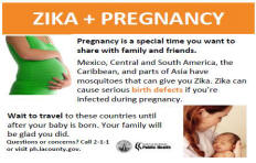 Zika and Pregnancy