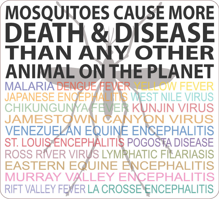 Mosquitoes cause more death & disease than any other animal on the planet.