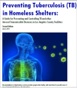 image Preventing TB in Homeless Shelters Guide