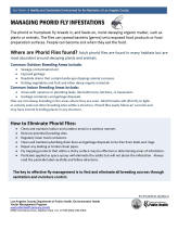 Managing Phorid Fly Infestations