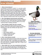 Frequently Asked Questions about Avian Influenza