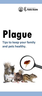 Plague