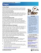 Plague FAQ