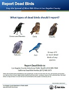 West Nile Virus - Report Dead Birds Flyer