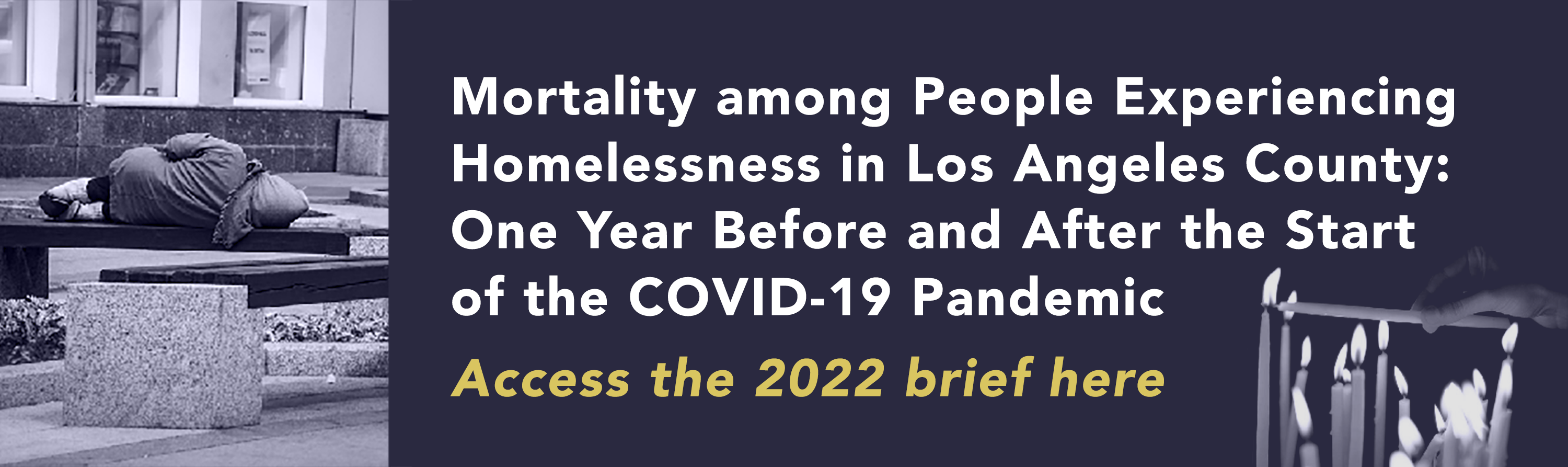Issue brief on homeless mortality in 2022