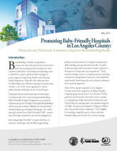 Promoting Baby-Friendly Hospitals