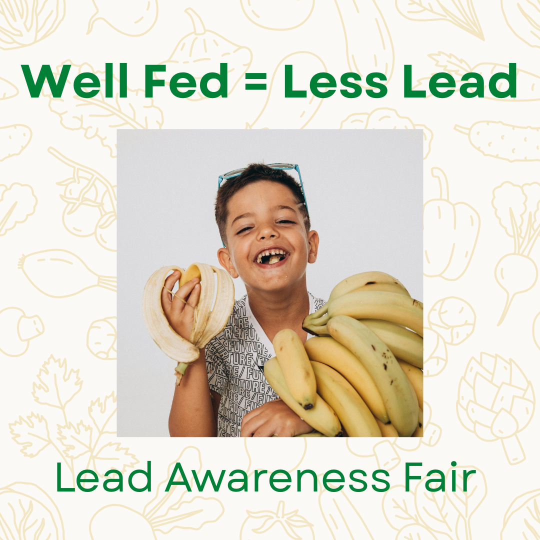 Lead Awareness Fair