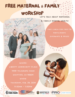 Flyer for Maternal and Family Workshop