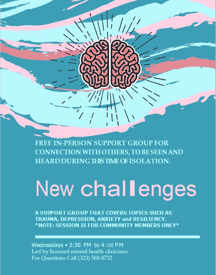 Image of Flyer for New Challenges Support Group