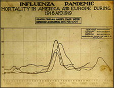 influenza pandemic picture