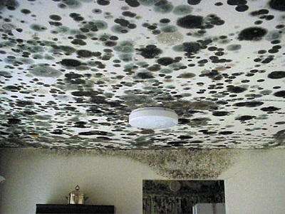 http://www.publichealth.lacounty.gov/eh/images/safety/mold-ceiling400.jpg