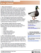Avian Influenza (Flu) Frequently Asked Questions