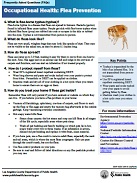 Frequently Asked Questions about Flea Prevention