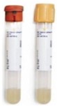 Collection Tube