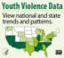 Youth Violence Data. View national and state trends and patterns.