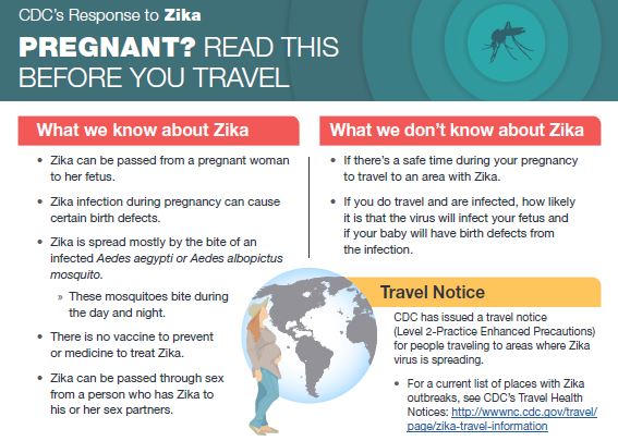 Pregnancy + Travel
