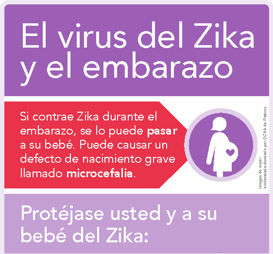 Nacer Sano- Infografia sobre el Zika y el embarazo