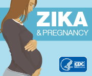 Button linking to CDC Zika and Pregnancy website