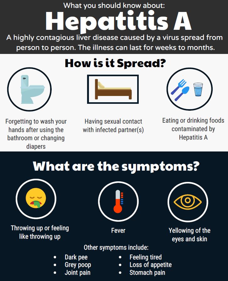Hepatitis A Infographic