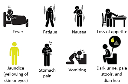 hepatitis a virus symptoms