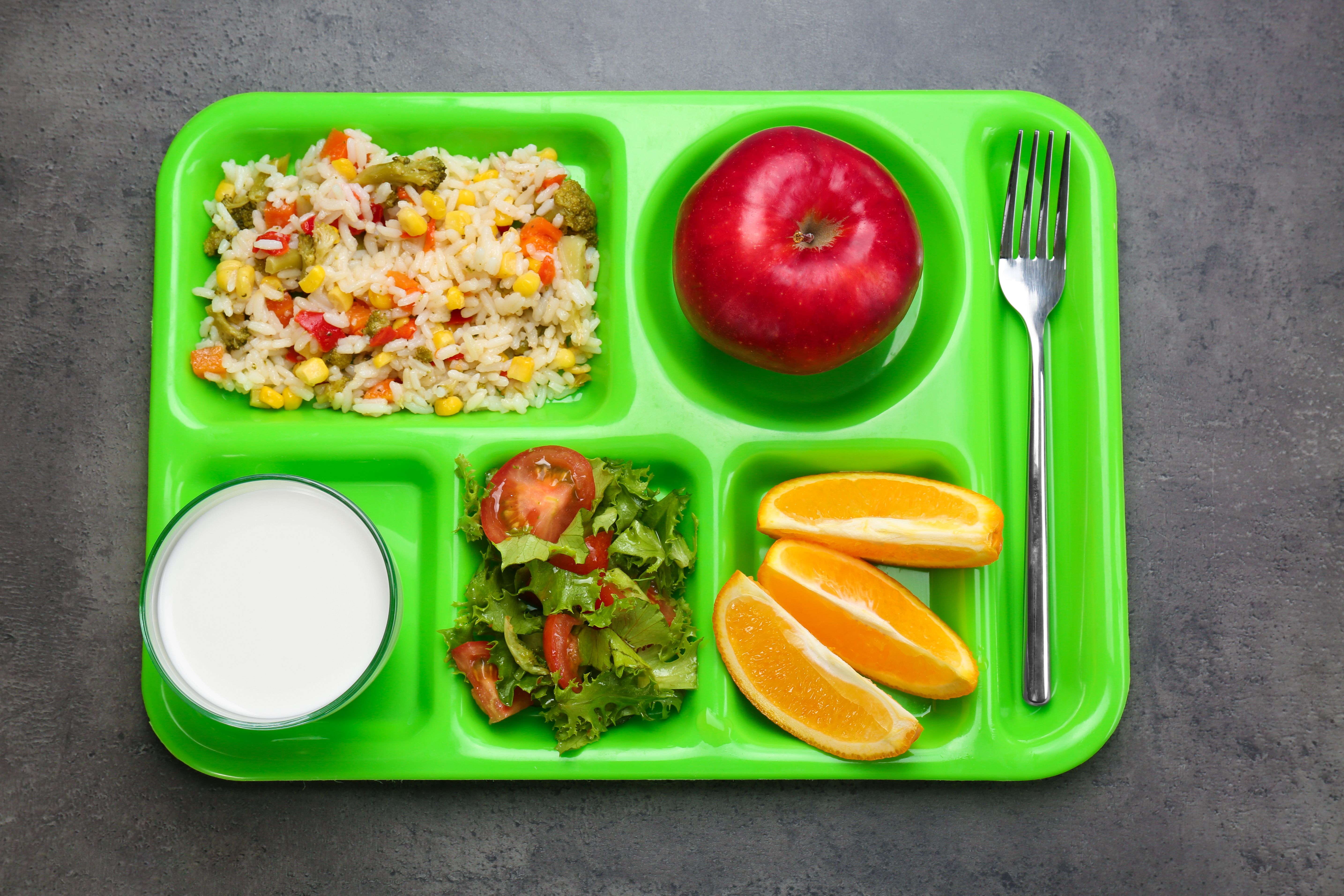 School Breakfast Program and National School Lunch Program