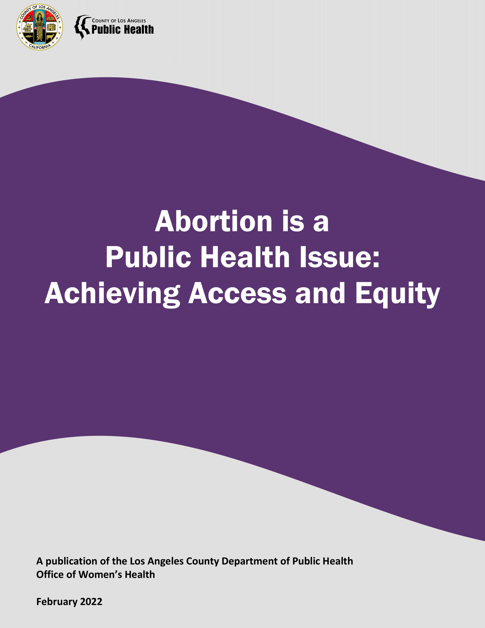 ABORTION IS A PUBLIC HEALTH ISSUE: ACHIEVING ACCESS AND EQUITY