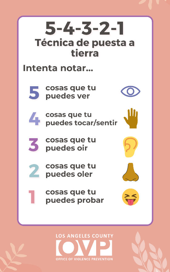5-4-3-2-1
tecnica de puesta a tierra