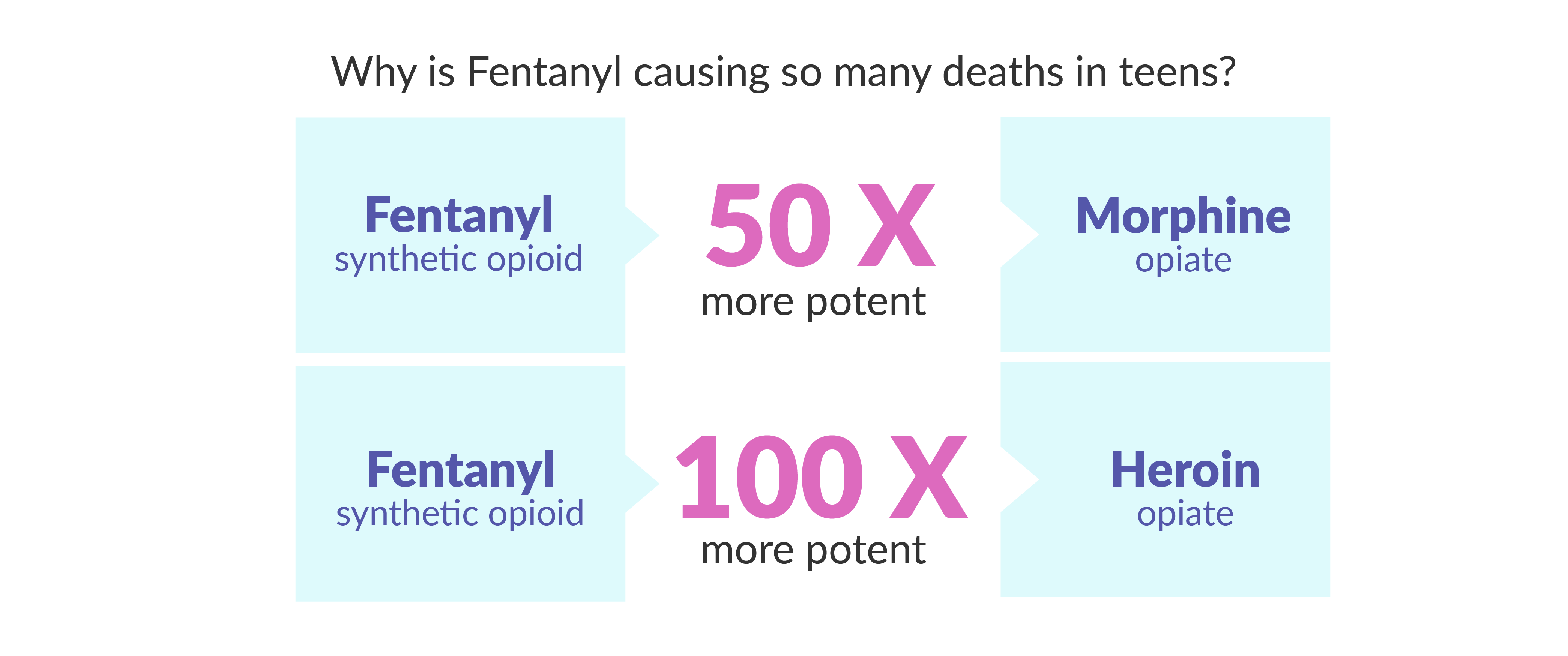 Infographic 8