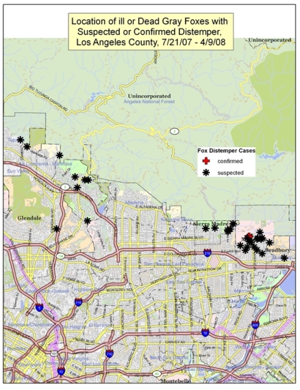 2007 map Distemper in foxes in Monrovia in Los Angeles County