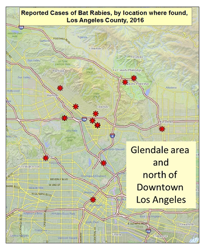 2016 Downtown LA Glendale Burbank rabid bat map