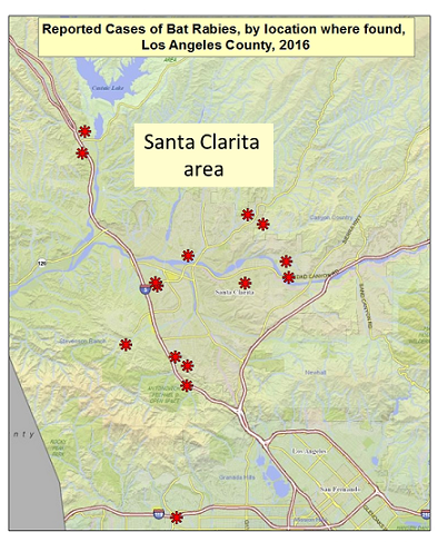 2016 Santa Clarita area - rabid bat map