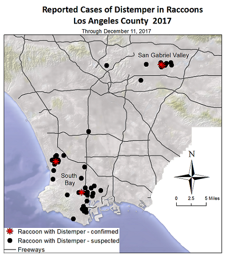 2017 map raccoons with distemper Los Angeles County