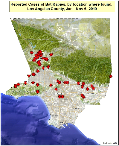 locations of rabid bats in los angeles county from january to november 6, 2019