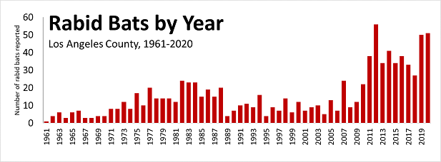 numbers of reported rabid bats per year in Los Angeles County