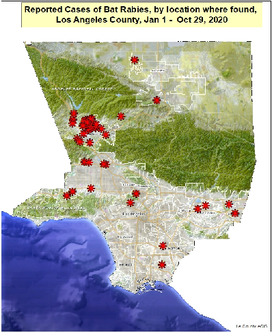 map showing locations of rabid bats in Los Angeles County from January to October 27, 2020