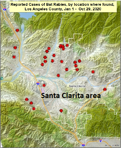 map showing locations of rabid bats in the Santa Clarita area of Los Angeles County from January to October 27, 2020