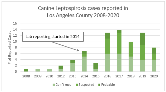 chart showing numbers of reported cases of lepto in dogs in LA County from 2008-2020