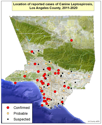 map showing reported cases of lepto in dogs in LA County from 2011-2020