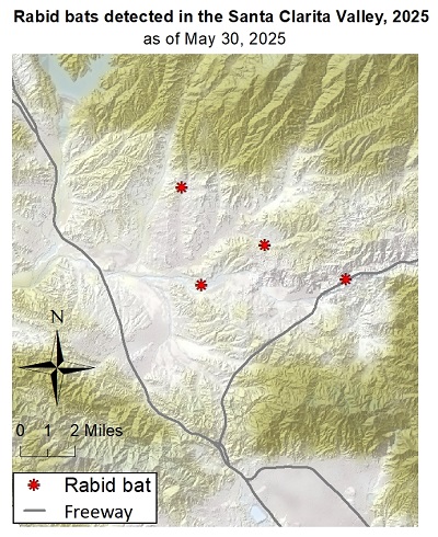 Map showing rabid bat detections in the Santa Clarita area of Los Angeles County since January 1, 2025