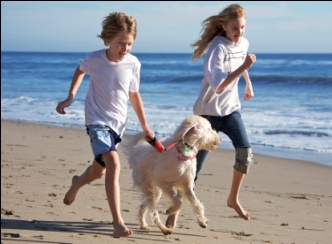 Family running with dog on the beach