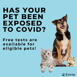 has your pet been exposed to COVID?