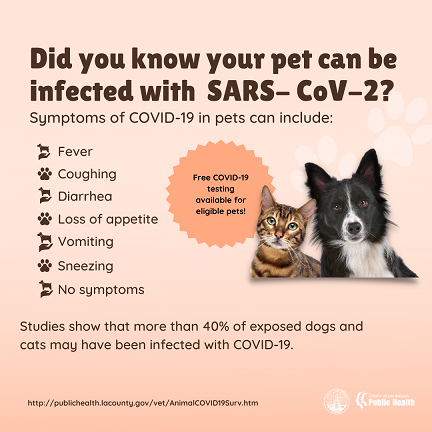 did you know that pets can be sick with SARS-CoV-2