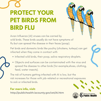 protect pet birds