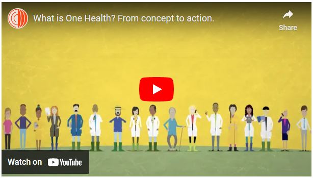 what is one health video image