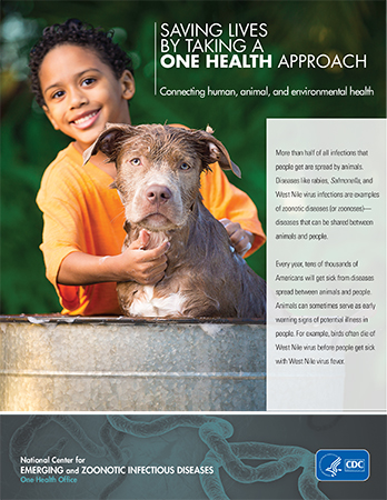ein Gesundheitsmerkblatt deckt ein Kind mit einem Hund ab