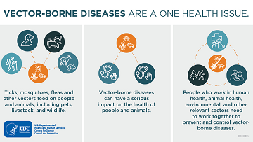 vector borne diseases