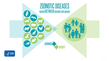 zoonotische Infektionen verbreiten sich zwischen Tieren und Menschen