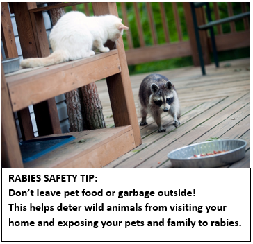 rabies safety tip